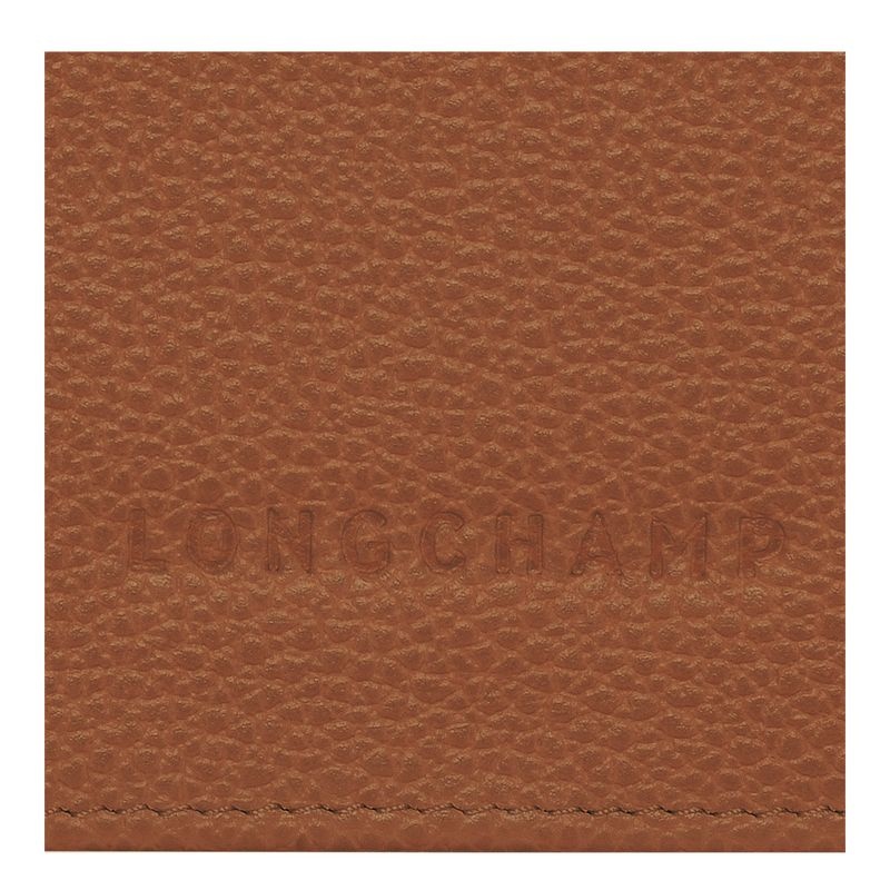 Brown Women's Longchamp Le Foulonné Continental Wallet | 3672-SRVXG