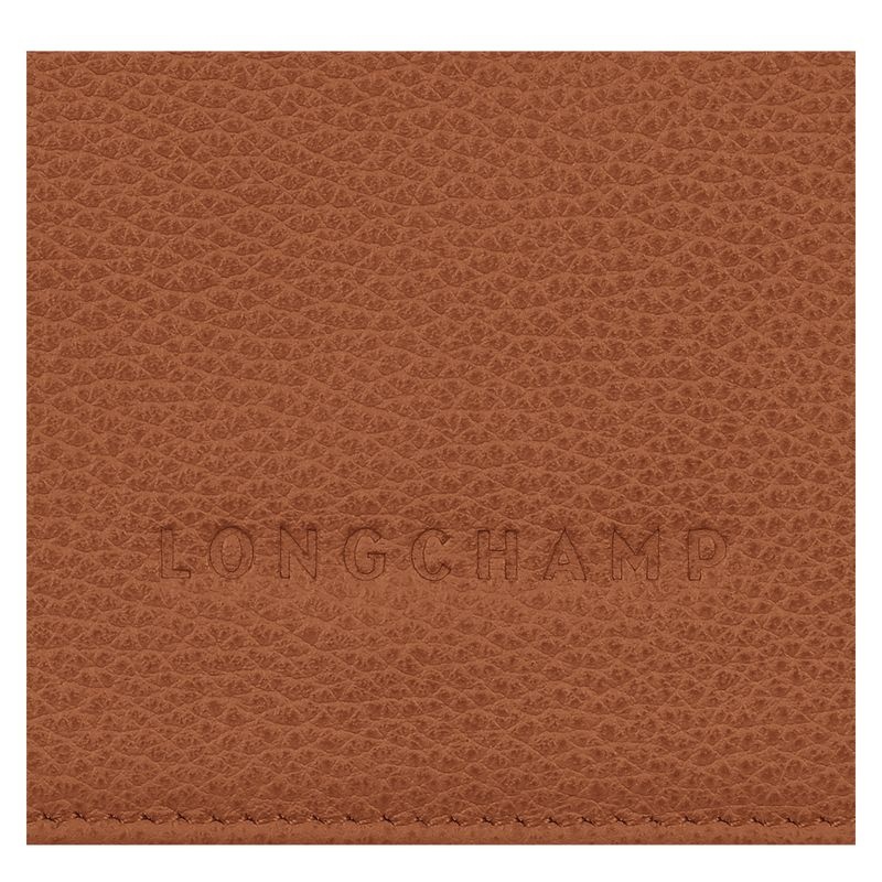 Brown Women's Longchamp Le Foulonné Wallet | 8296-VZRMF